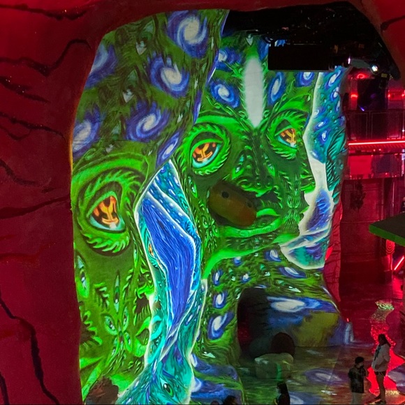 Meet your Posher, Patrick - Picture 1 of 1